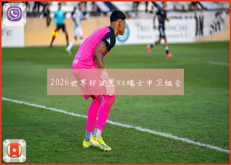 2026世界杯波黑vs瑞士中卫组合