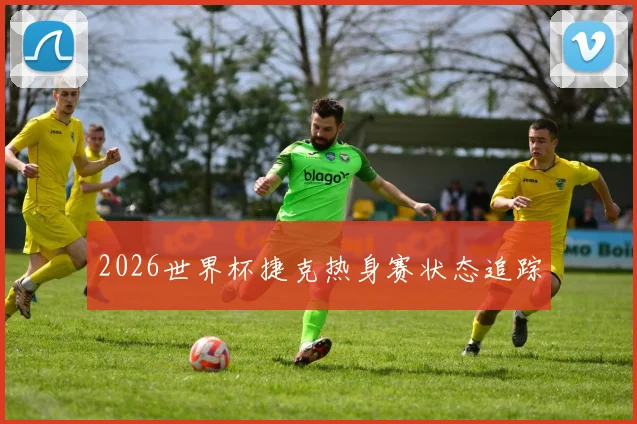 2026世界杯捷克热身赛状态追踪