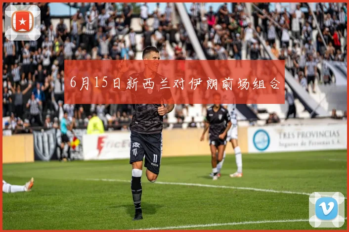 6月15日新西兰对伊朗前场组合