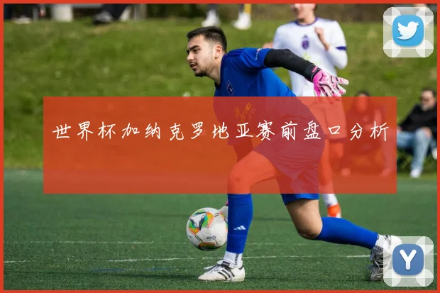 世界杯加纳克罗地亚赛前盘口分析
