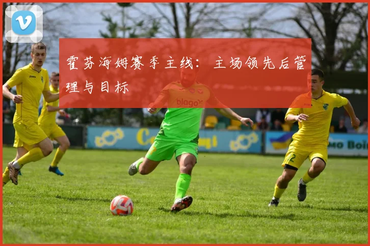 霍芬海姆赛季主线：主场领先后管理与目标