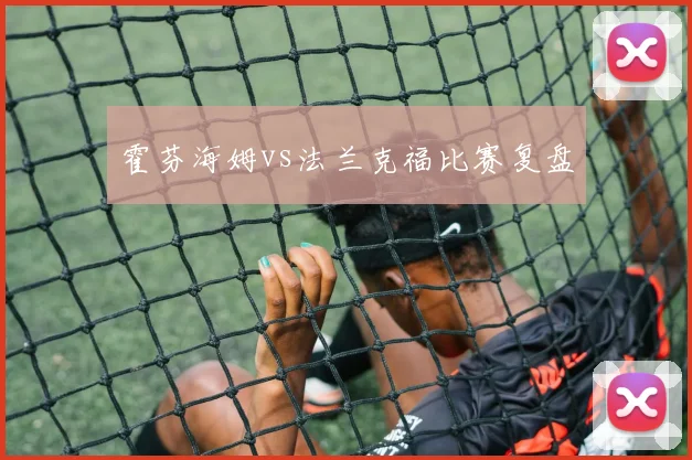 霍芬海姆vs法兰克福比赛复盘